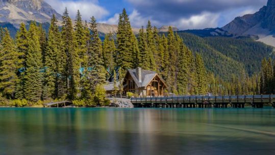 investing in land for sale calgary vs developed property