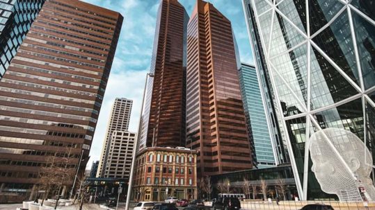 Best Calgary Neighbourhoods for Families Professionals and Investors