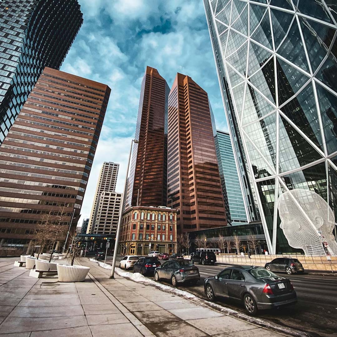 Best Calgary Neighbourhoods for Families Professionals and Investors